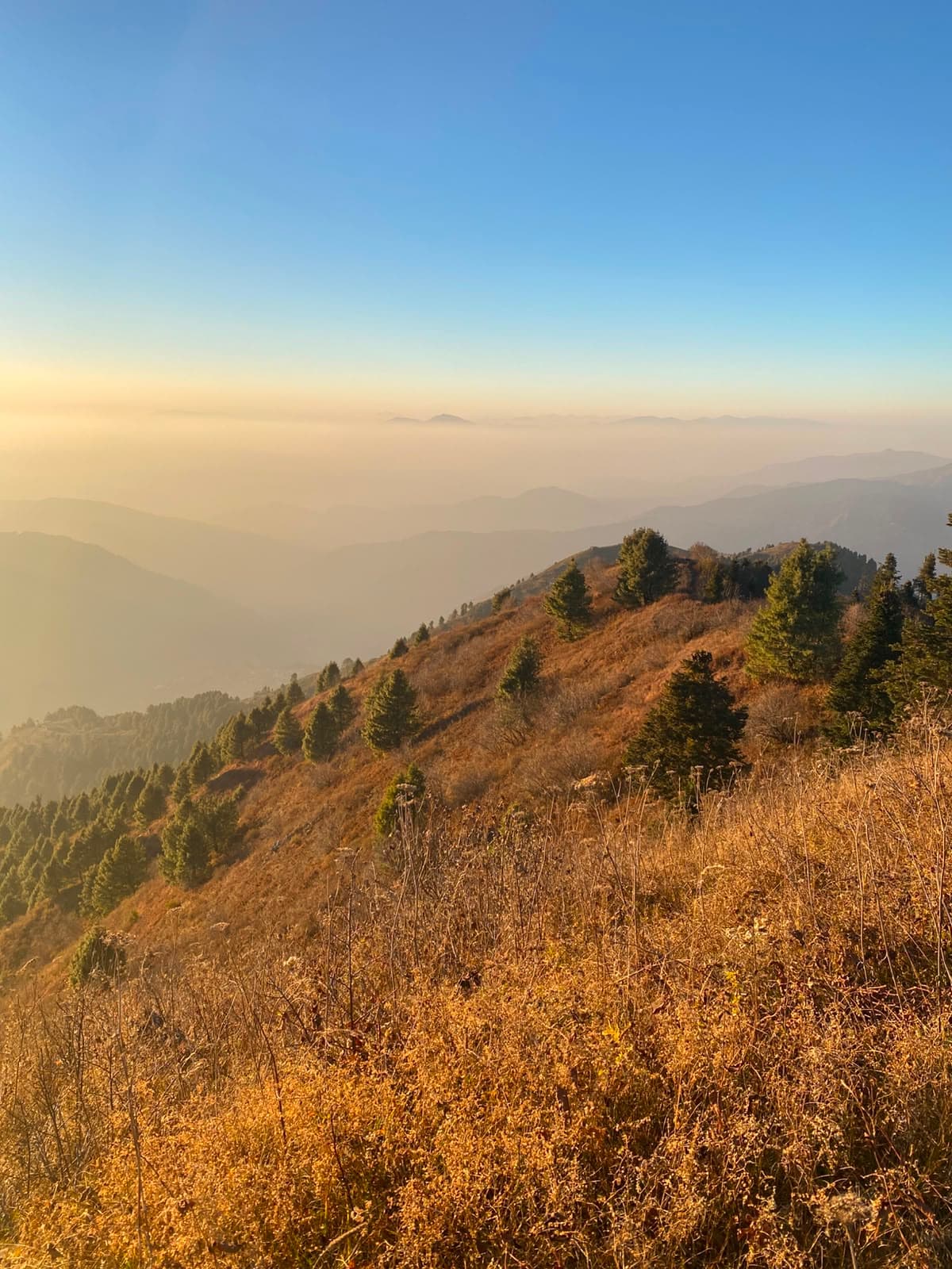 A view from my first hike to Miranjani Top